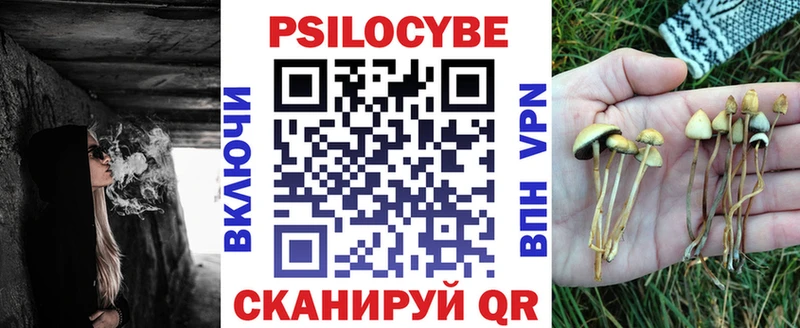 наркота  ссылка на мегу рабочий сайт  Псилоцибиновые грибы ЛСД  Ардатов 